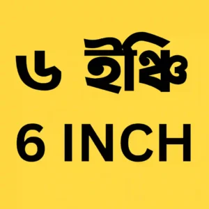 Fan - 6 Inch